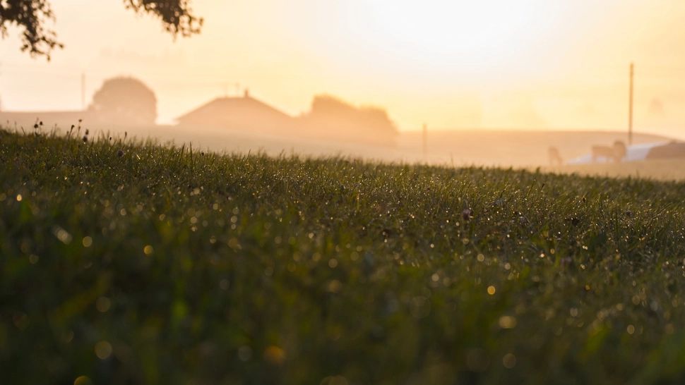 Se dau 280.000 de euro de la stat pentru agricultorii români. Vești bune în România