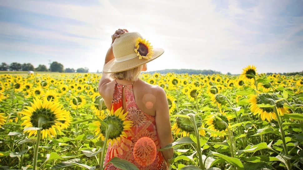 Cât trebuie să stai, de fapt, la soare ca să îi dai organismului doza de vitamina D de care are nevoie. Mai mult de atât poate deveni periculos pentru sănătate