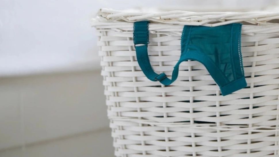 Bărbat reținut de polițiști după ce s-a strecurat în casa unei femei pentru a-i fura lenjeria intimă! Cum acționa individul