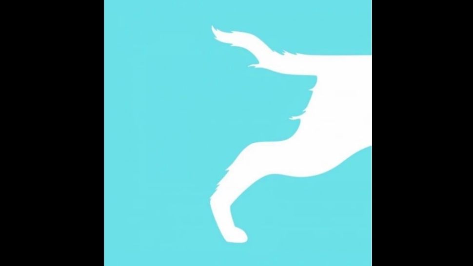 Care e primul lucru pe care-l vezi în imagine? Testul care dezvăluie cum te descurci cu problemele din viața ta 