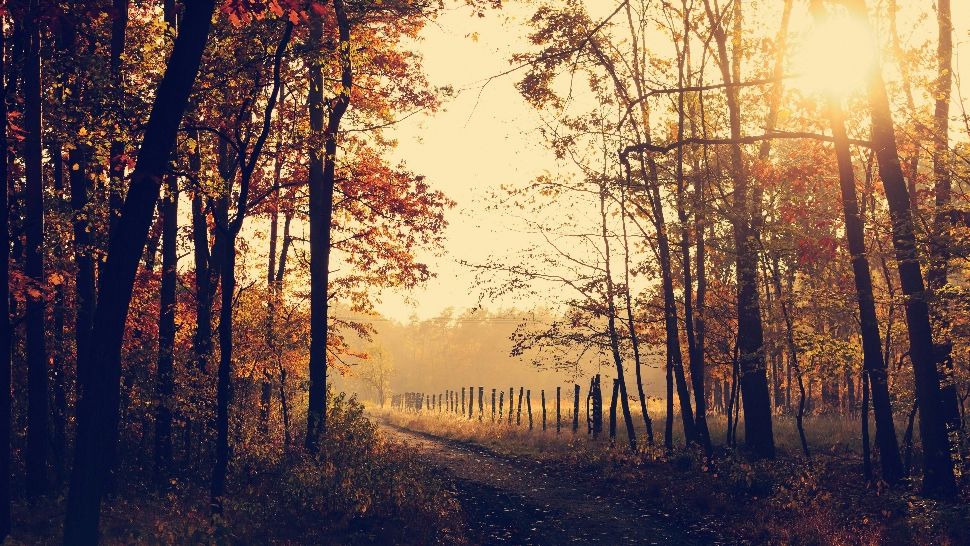 Temperaturi de vară până la mijlocul lui septembrie. Cum arată prognoza ANM pentru următoarele 4 săptămâni