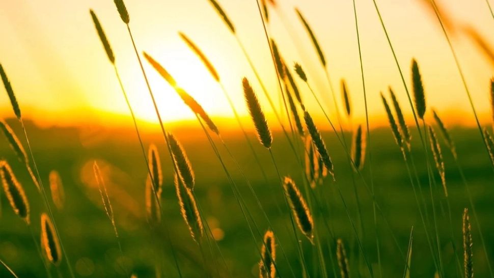 Două săptămâni de caniculă SEVERĂ! ANM anunță instabilitate atmosferică. Prognoza meteo actualizată