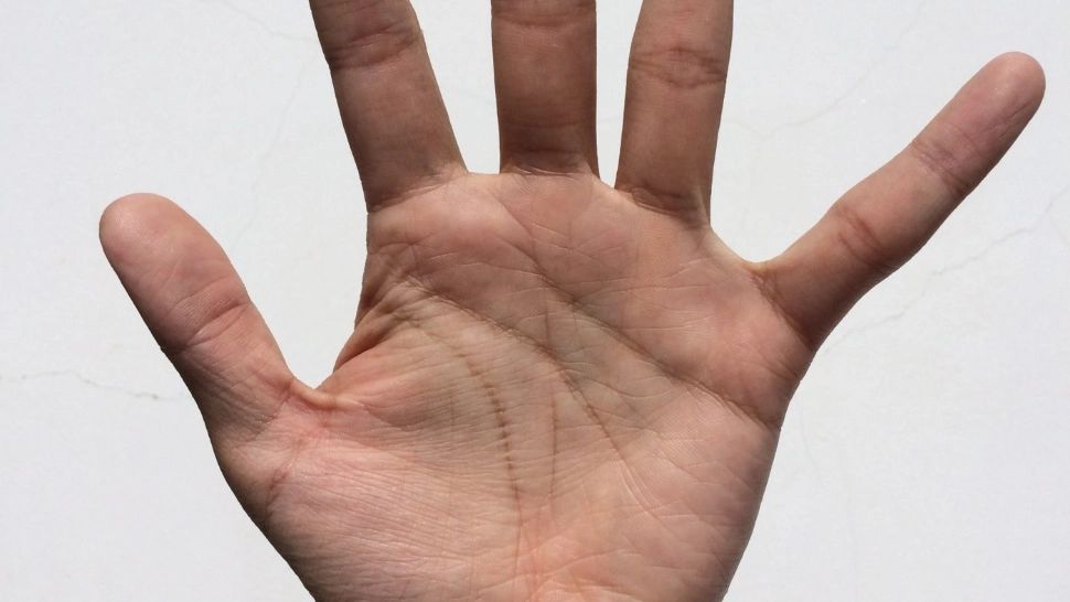 Misterul literei X din palma ta. Ce semnifică semnul special pe care îl avea și Alexandru cel Mare, conform istoricilor