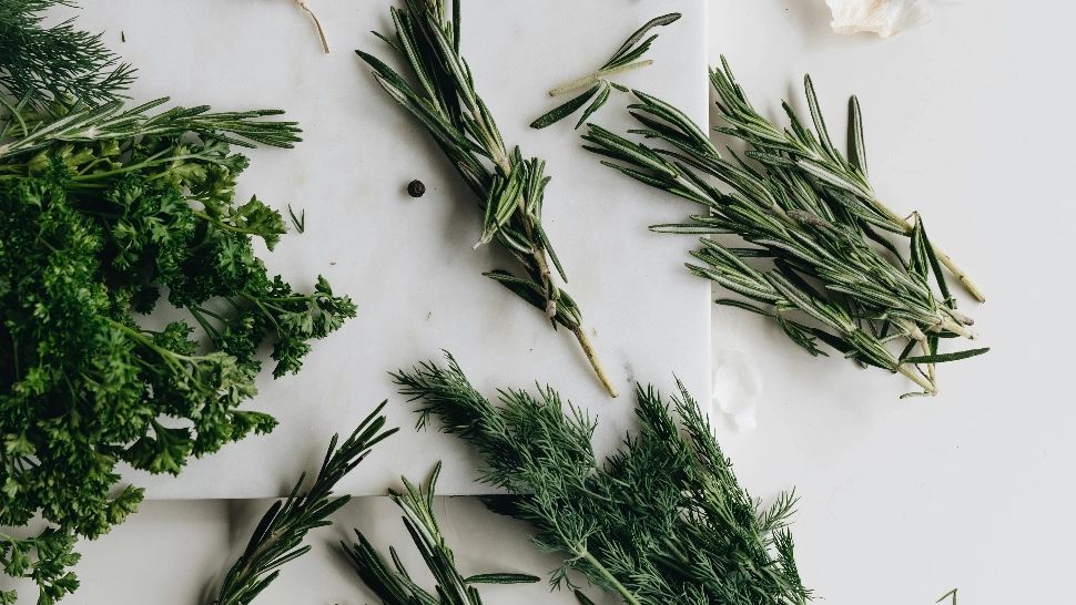 Plantele medicinale care NU trebuie să lipsească din casa nimănui