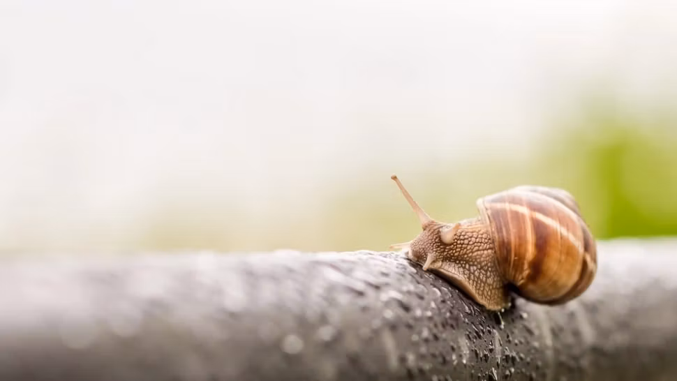 Schimbare radicală a vremii: cod galben de furtuni și vijelii. Temperaturile scad dramatic - când se răcește. HARTA actualizată