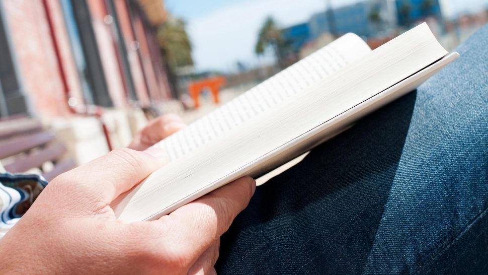 Hoţ prins după ce s-a oprit să citească o carte în timpul unei spargeri. Caz hilar la Roma