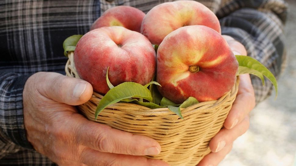 Bărbat de 63 de ani, arestat după ce a VIOLAT o fată de 6 ani. Halucinant: cum a ademenit-o agresorul pe copilă în locuința sa