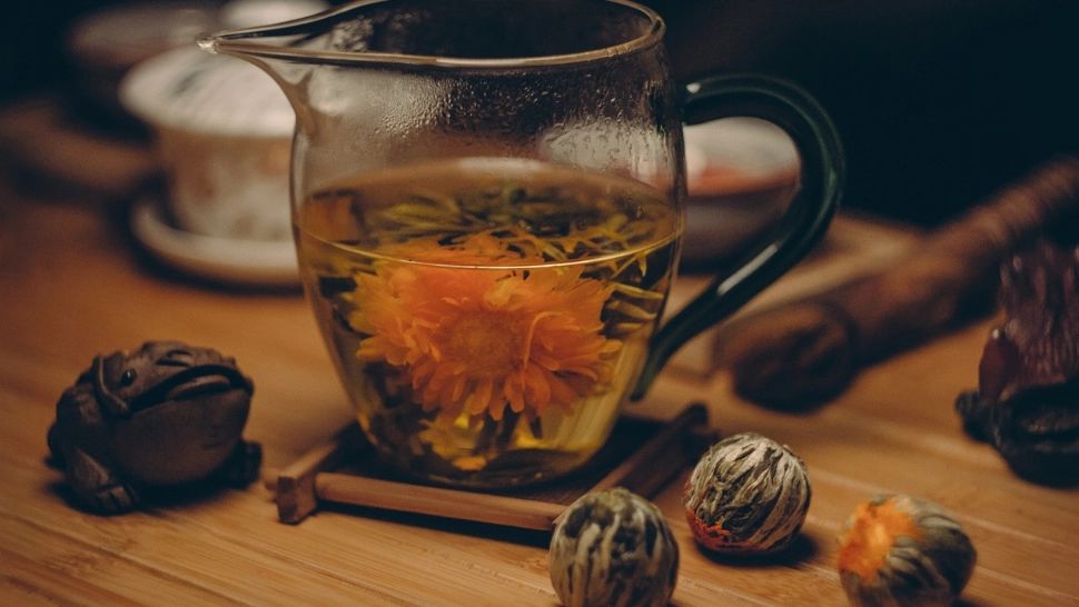 Remedii pentru reglarea dezechilibrului hormonal. Plantele pe care trebuie să le aibă la îndemână toate femeile 