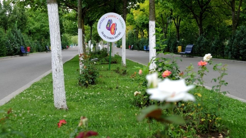 Totul Verde are implementat un sistem de management integrat, în conformitate cu cerințele legale