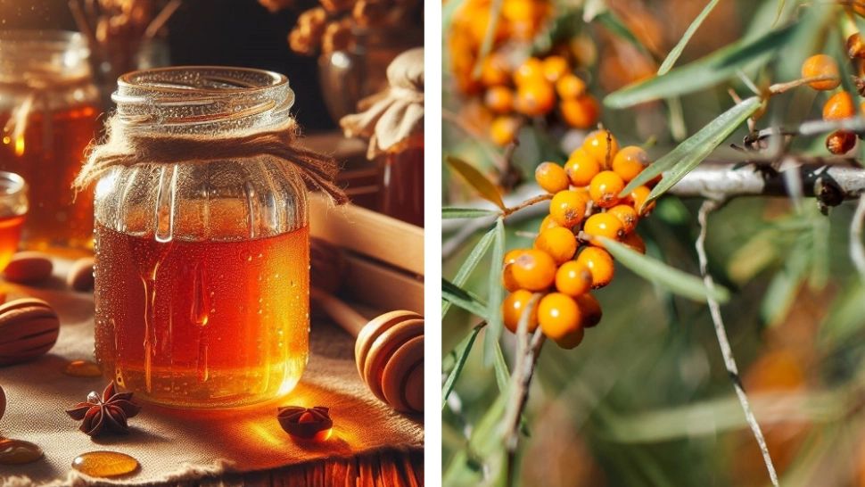 Cum să prepari siropul de cătină, cel mai puternic remediu pentru întărirea imunității