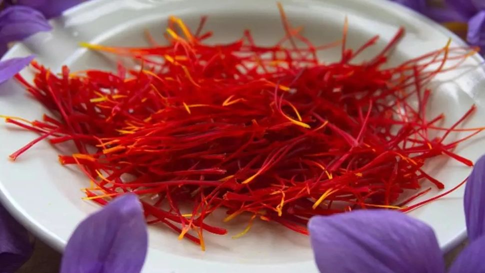 Cel mai scump condiment din lume. Valoarea sa a ajuns să o depășească pe cea a aurului