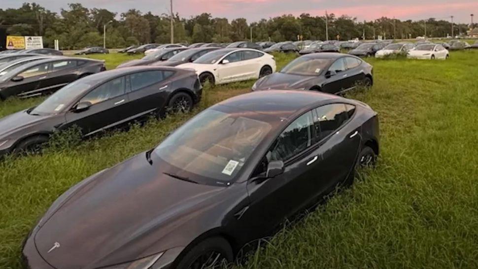 Misterul mașinilor Tesla, fabricate în 2024, abandonate pe un câmp VIDEO