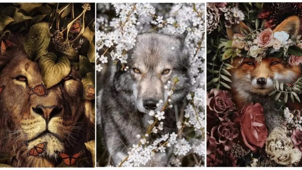 Testul psihologic care deslușește subconștientul și îți arată ce „animal interior” iese la suprafață în situații de stres