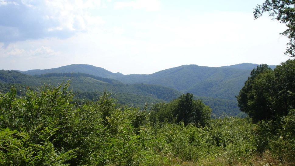 Femeie de 51 de ani, căutată cu elicopterul și drone după ce a fugit în munți de frica fratelui violent: bărbatul și-a agresat inclusiv mama