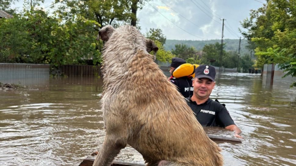 Comitetul Național pentru Situații de Urgență aprobă ajutoare umanitare pentru județul Galați: Se scot rezervele de stat!