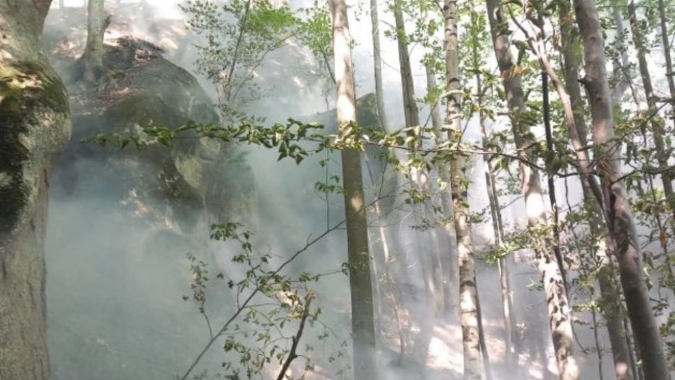  Pădurea de la Băile Olăneşti, cuprinsă din nou de incendiu. Focul, la mică distanță de o mănăstire istorică celebră  