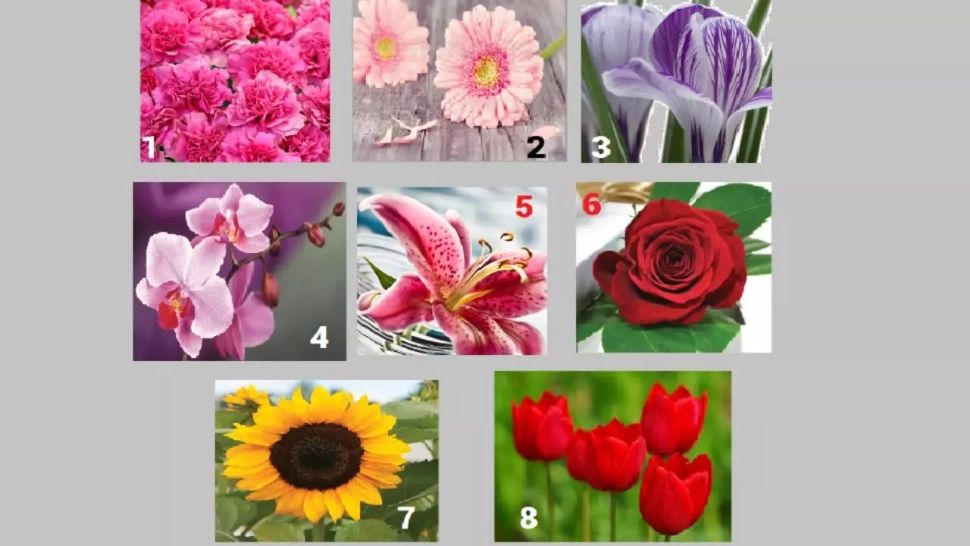 Testul care nu dă greș: Alege o floare și află mesajul subconștientului tău pentru această toamnă
