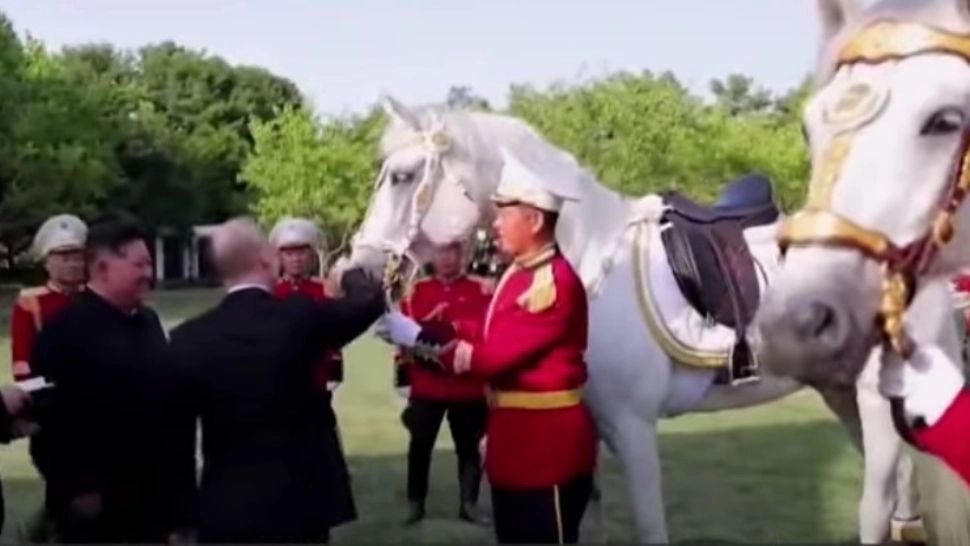 Vladimir Putin i-a dăruit lui Kim Jong-Un 24 de cai de rasă. Schimb de daruri între dictatori - VIDEO