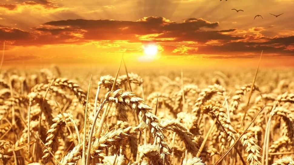 Prognoza pe două săptămâni. Cum va fi vremea în plin sezon de vacanțe?