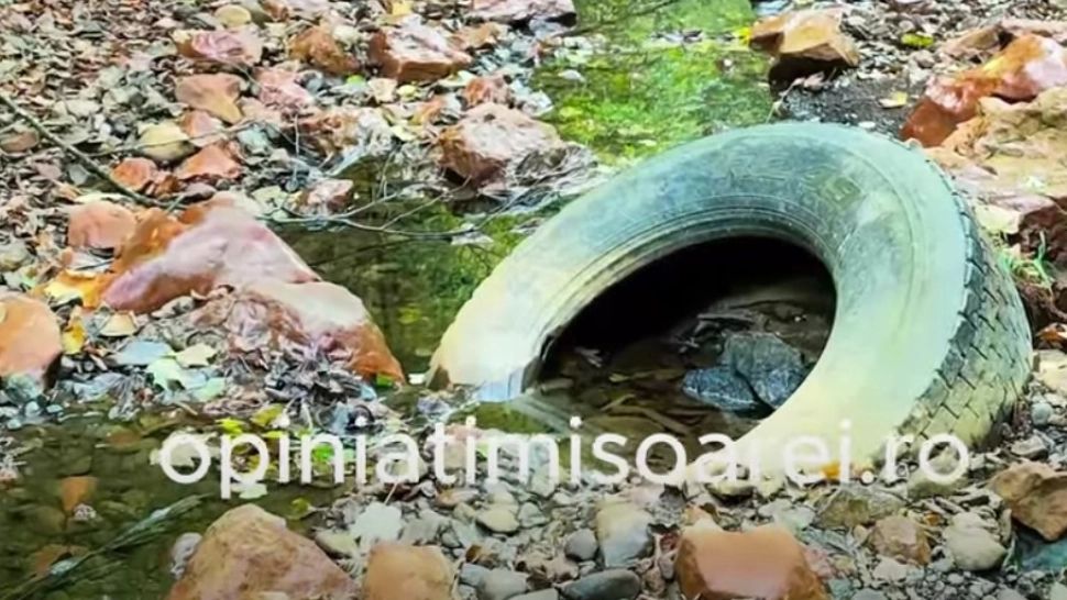 Revoltător! Loc de poveste transformat într-o groapă de gunoi - VIDEO