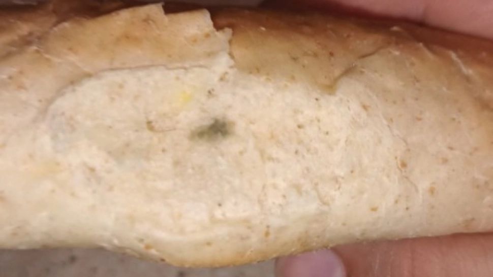 Anul școlar a început cu peripeții. La Bragadiru programul „Laptele și cornul” lasă de dorit: „Vine mucegăit sau ros de șoareci”