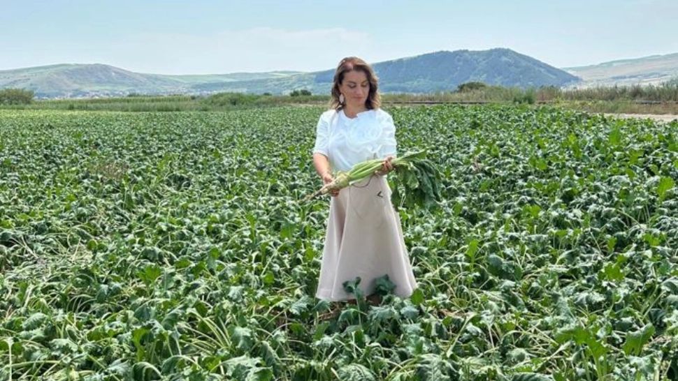 Mihaela Neagu: „În România nu există cerere de melasă și borhot”