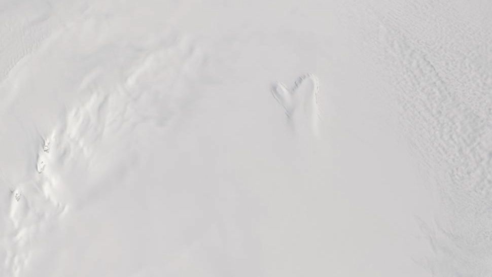 Imagine neașteptată a Pământului, observată din spațiu: „O siluetă fantomatică apare în gheața Groenlandei”