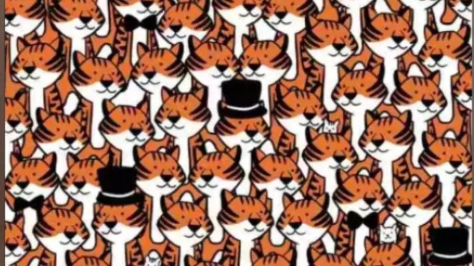 4 pisici s-au ascuns în mulțimea de tigri. Dacă le găsești în 10 secunde te poți considera maestrul perspicacității