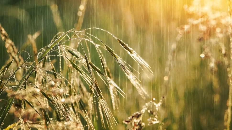 Prognoza meteo până pe 23 iunie: alternanțe nefirești, în prima lună de vară. ANM anunță temperaturi de coșmar