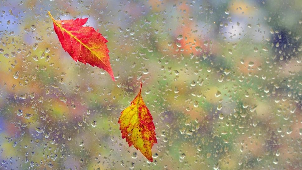 Vremea se SCHIMBĂ radical! Temperaturile scad chiar și cu 15 grade și sunt așteptate ploi: prognoza ANM