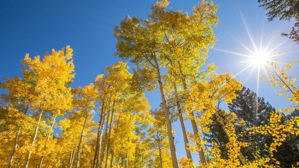 Temperaturi caniculare până spre finalul acestei săptămâni. Când revin ploile și unde își vor face simțită prezența cel mai intens