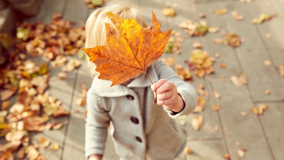 Vremea 6 septembrie. România e împărțită astăzi între caniculă și furtuni: ce spun meteorologii