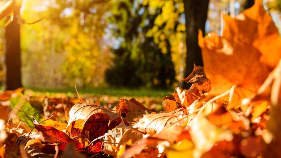 Vremea 18 septembrie. Se încălzește în cea mai mare parte a țării. Temperaturi de primăvară: la cât vor ajunge maximele zilei