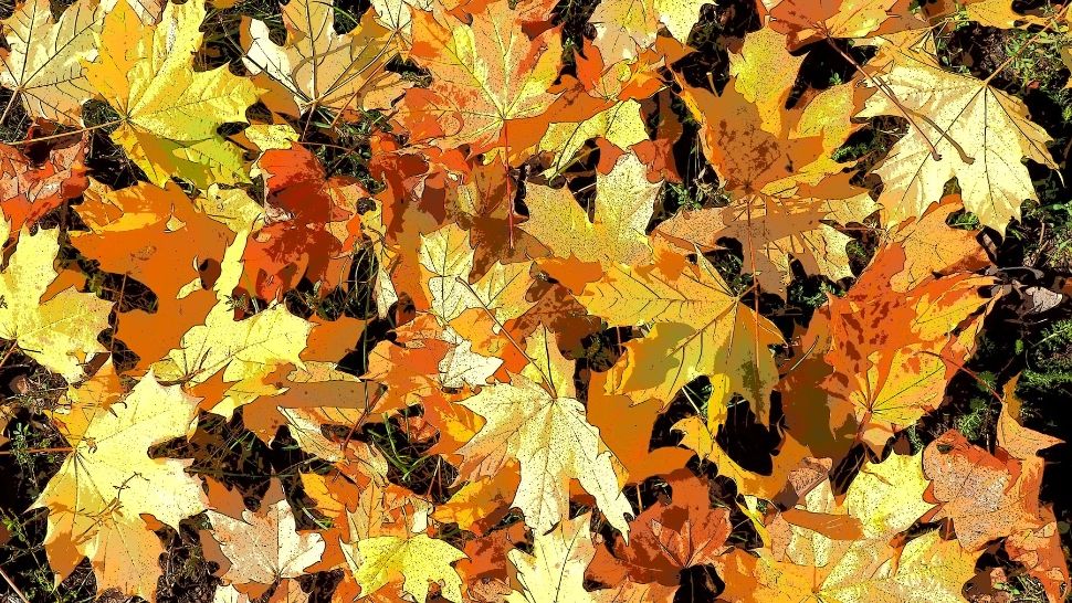 Toamnă cu temperaturi de vară și precipitații puține. La cât a ajus recordul de temperatură, în septembrie, în România: cifre halucinante