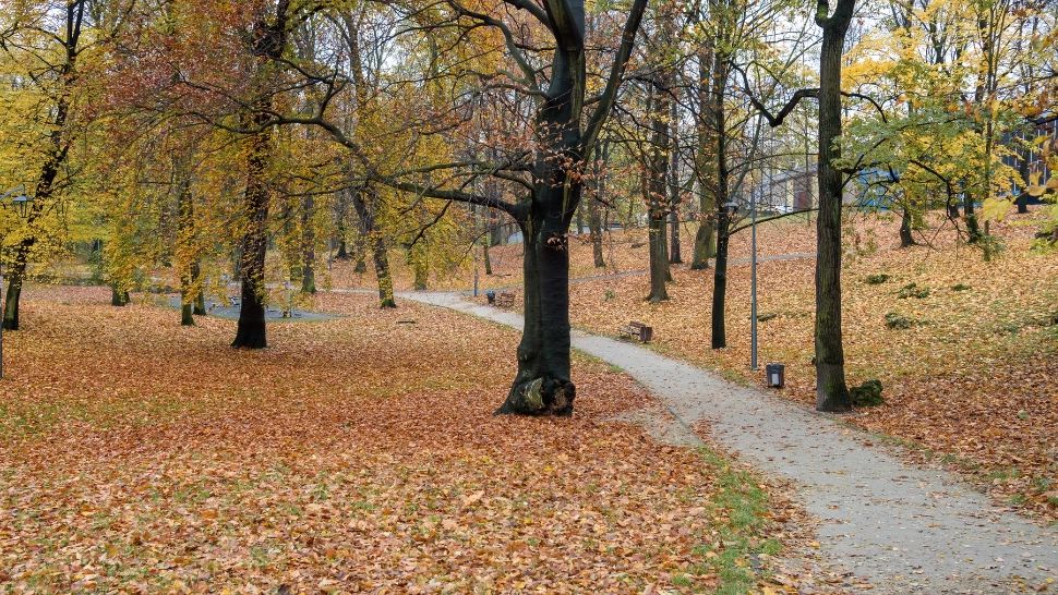 România, tot mai aproape de echinocţiul de toamnă. Când va avea loc și ce schimbări aduce în viața oamenilor