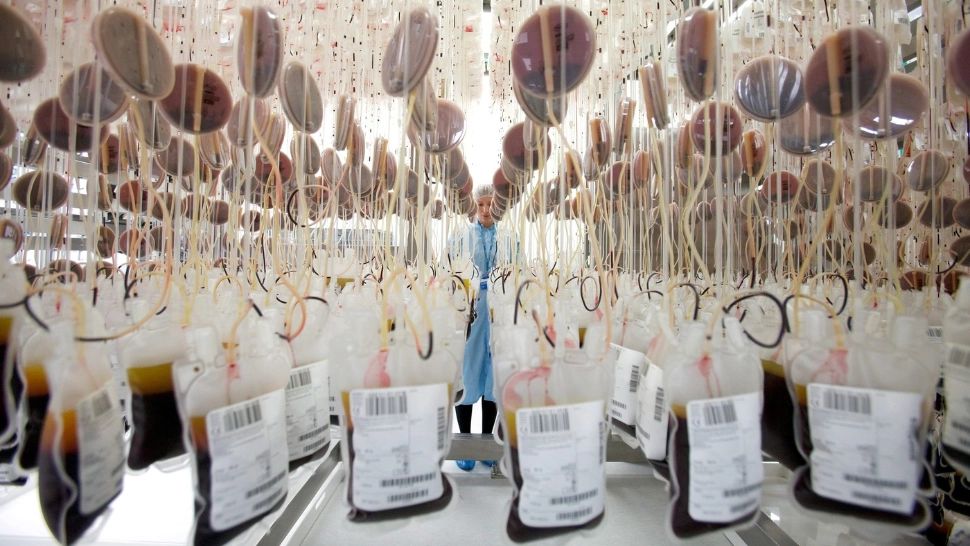 O nouă grupă de sânge, descoperită după 50 de ani de mister. Câți oameni au această mutație? 