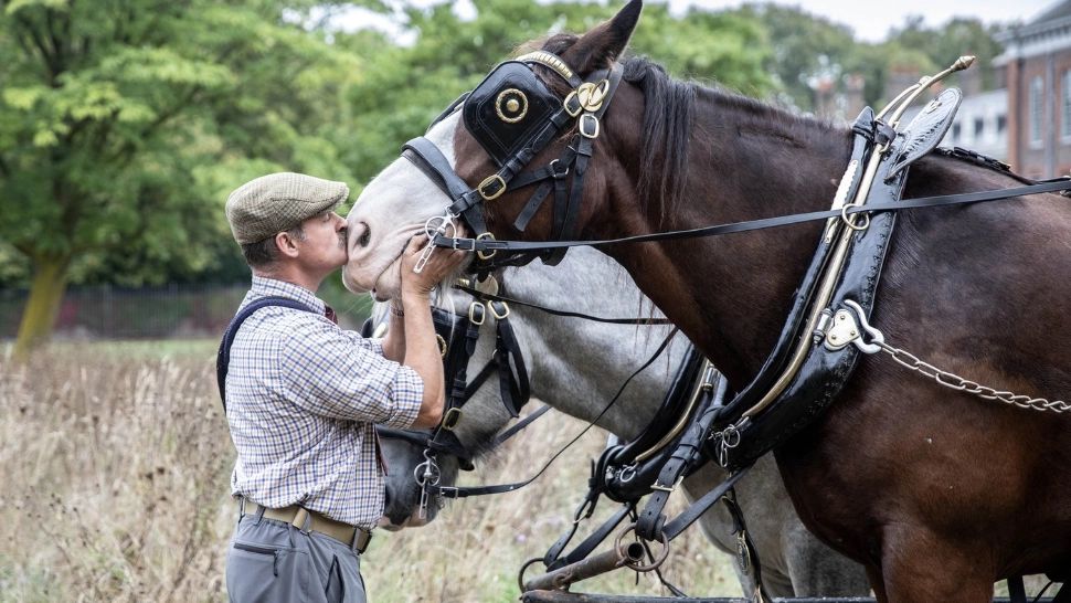 O lovitură de cal i-a salvat viața unui bărbat de 67 de ani! Medic: „N-am mai văzut așa ceva”