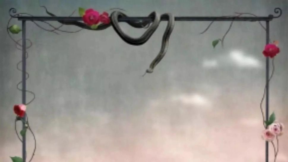 Testul șarpelui - Află cine este cel mai mare dușman al tău, descifrând mesajul subconștientului