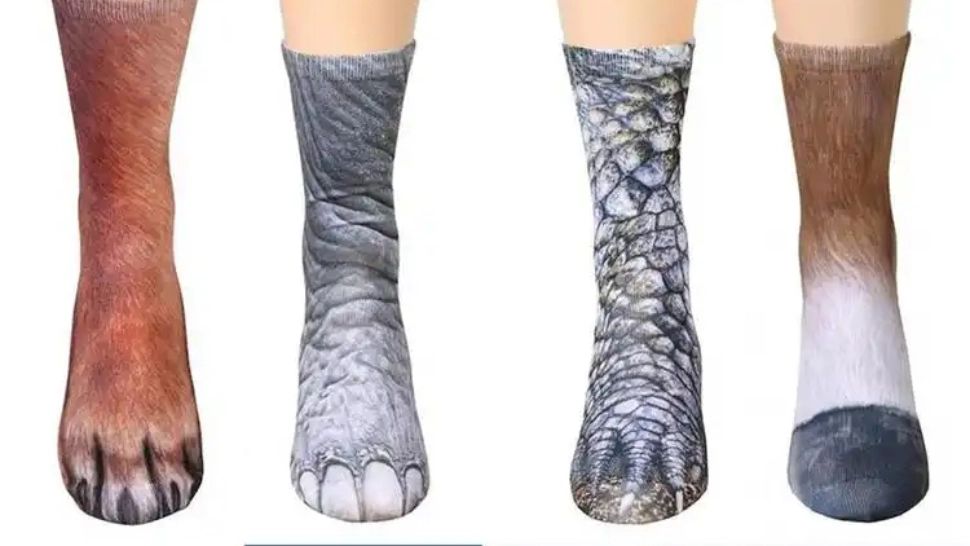 Ultima modă în materie de CIORAPI. Poți avea labe de PISICĂ, gheare de GĂINĂ sau copite de PORC - FOTO
