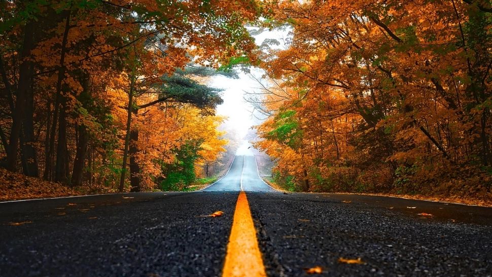 Vreme mohorâtă în mare parte din țară: ceață, ploi slabe și temperaturi modeste