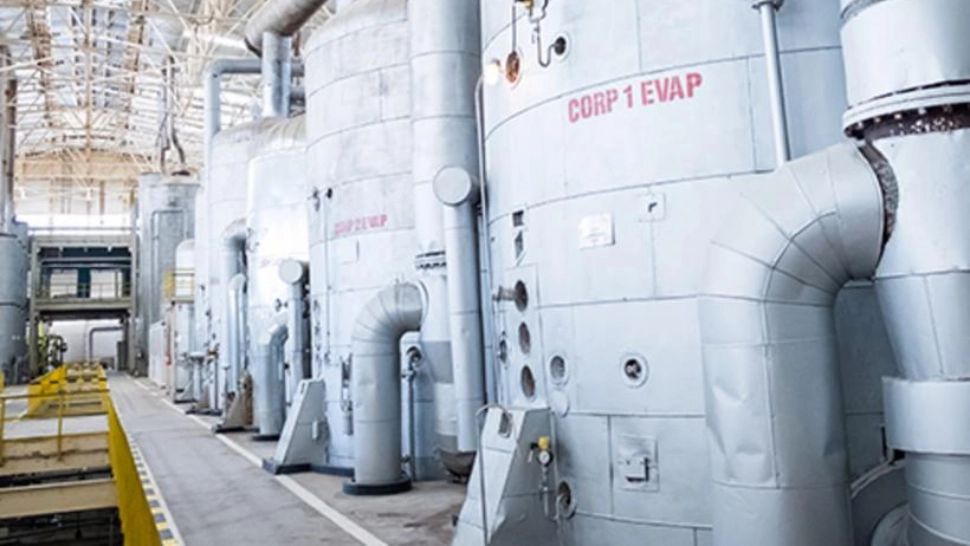 Un mare producător de zahăr din România CONCEDIAZĂ zeci de angajați. Ce ofertă li s-a făcut oamenilor?