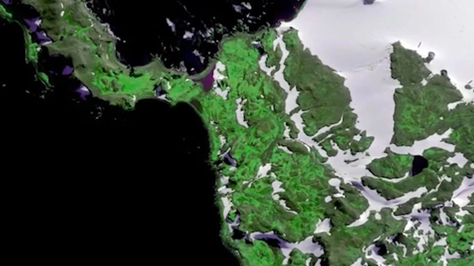 Antarctica înverzește! Dezastru la nivel global: avertismente dure din partea specialiștilor