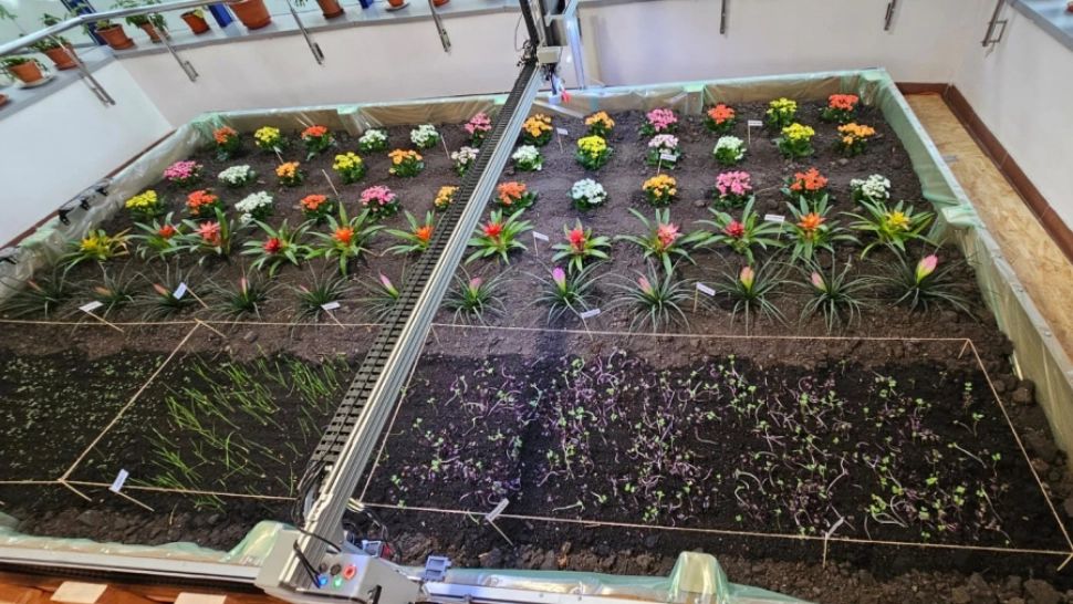 ASE vrea să dea lovitura cu un laborator de agricultură urbană digitală. Unitatea futuristă e dotată cu un robot agricol, imprimantă și scanner 3D