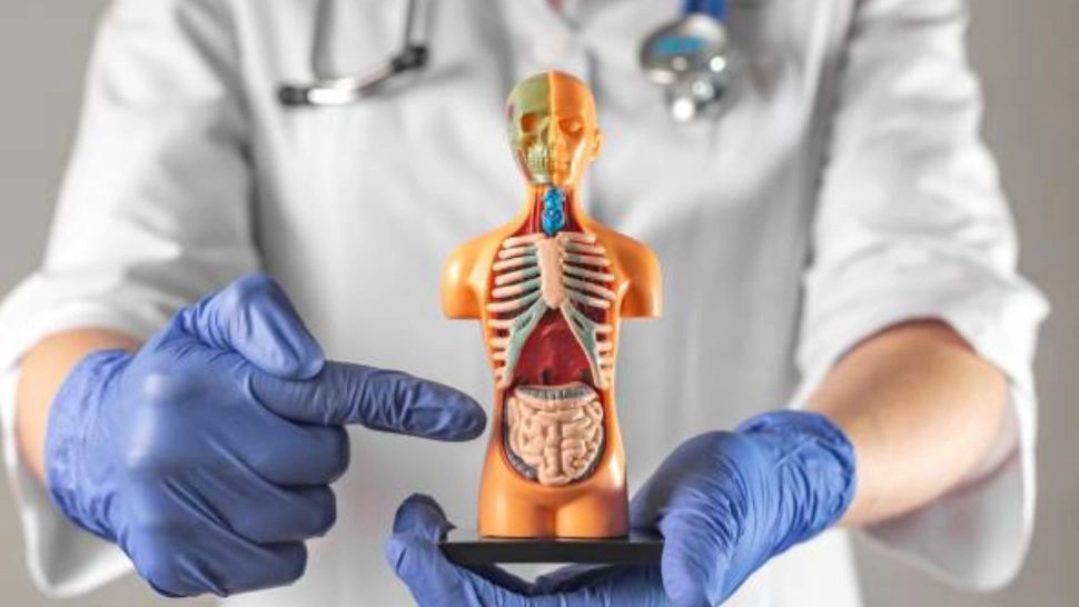 Cele mai întâlnite 3 simptome ale cancerului de colon la tineri: semnele unei urgențe medicale!