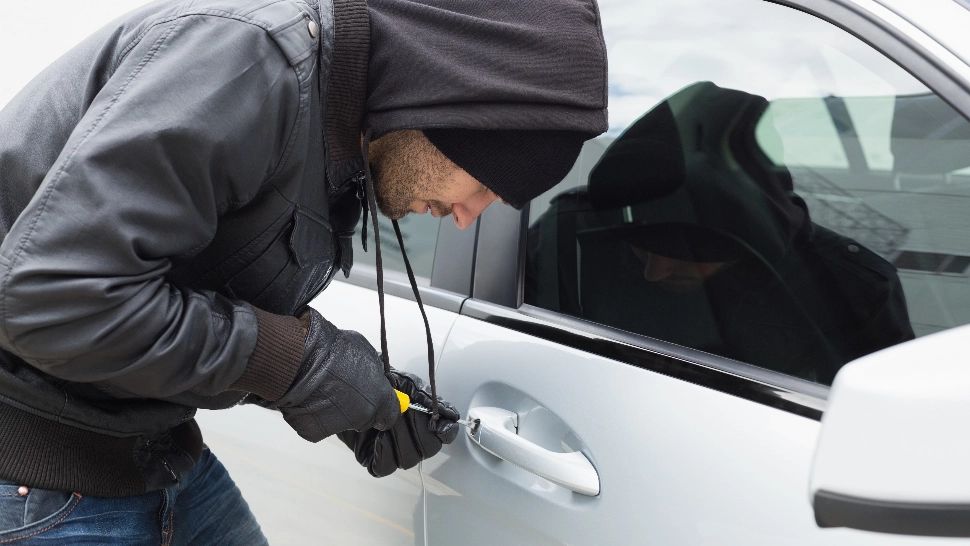 „Afaceri” înfloritoare. A crecut cu 50% numărul mașinilor furate, depistate la vamă. Ce marcă preferă hoții