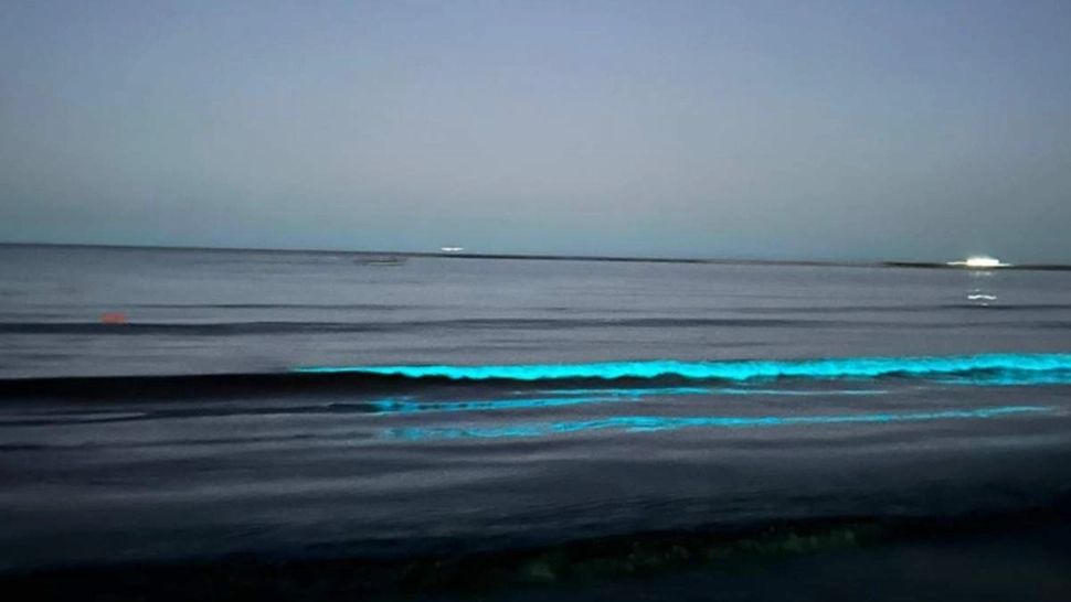 Spectacol rar pe litoralul românesc! Specialiștii spun ce se ascunde sub valurile fosforescente din Constanța - VIDEO