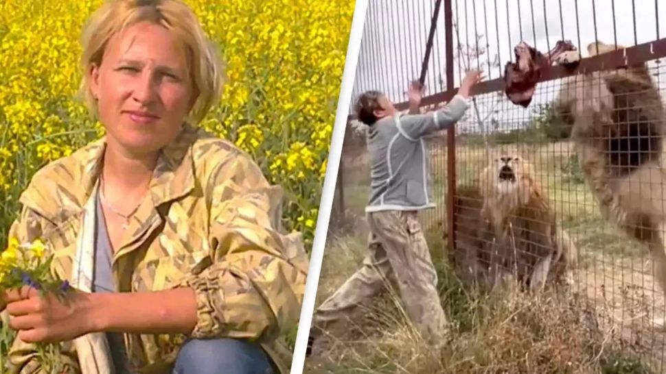 O faimoasă îngrijitoare la grădina zoologică a fost sfâșiată de lei după ce a făcut o greșeală fatală