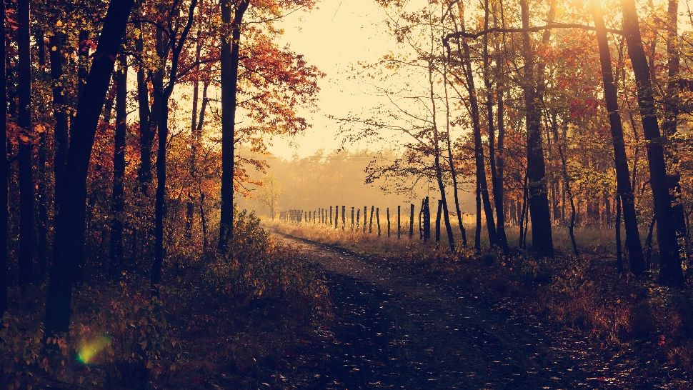 Vremea 22 octombrie. Temperaturi de primăvară în plină toamnă: la cât ajung maximele zilei și unde va fi cel mai răcoare astăzi