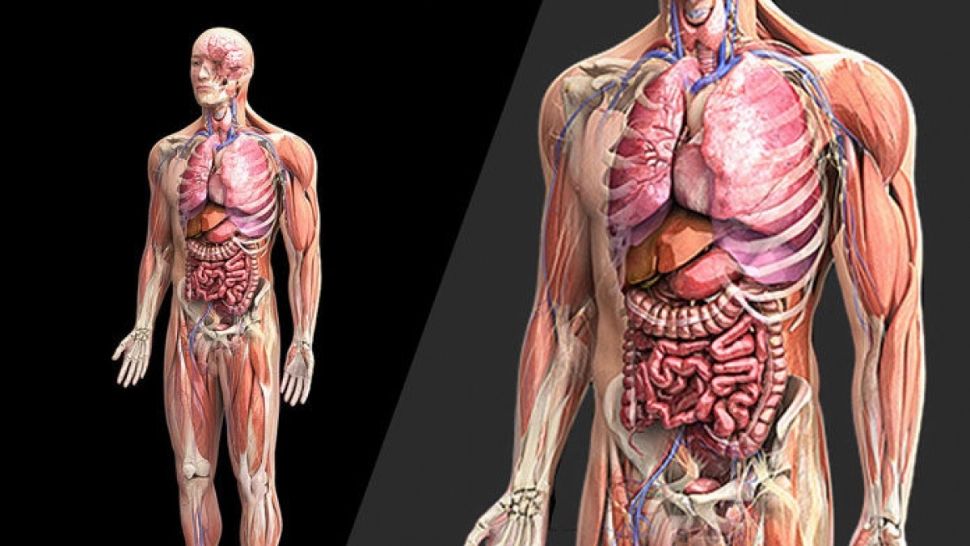 6 alimente care au efecte benefice asupra ficatului și ne feresc de bolile hepatice. Sfatul nutriționiștilor