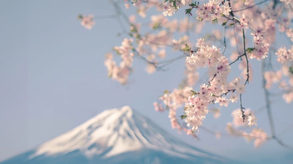 Semnalul care trebuie să îngrijoreze lumea. Nu s-a mai întâmplat de 130 de ani așa ceva VIDEO